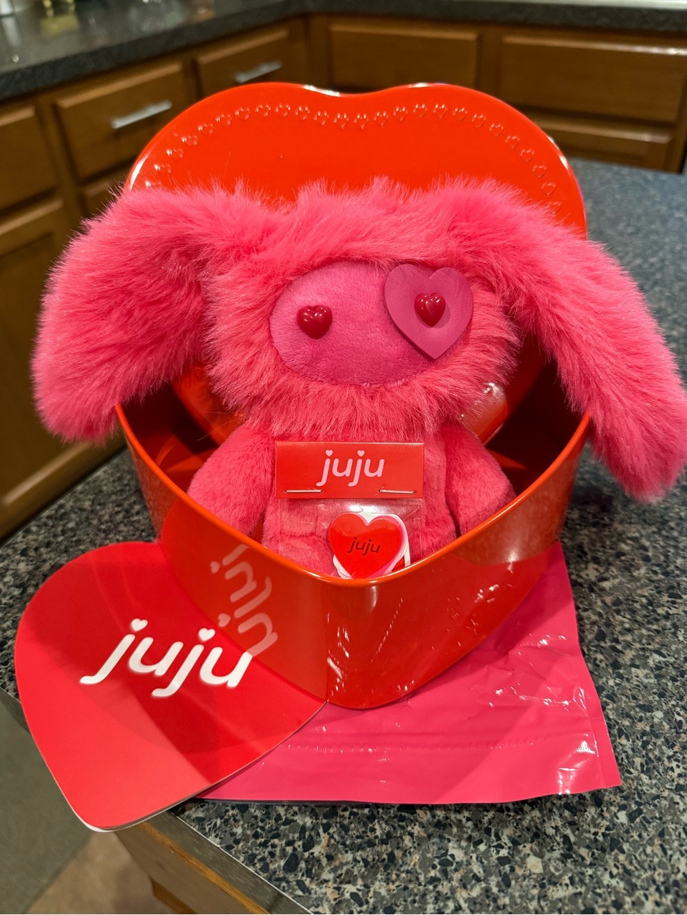 CJ Hendry Juju Valentine's Day Ziggy Hot Pink Plush